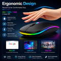 HP W10 Wireless Optical Mouse – Silent, Slim & Comfortable for Laptop & PC